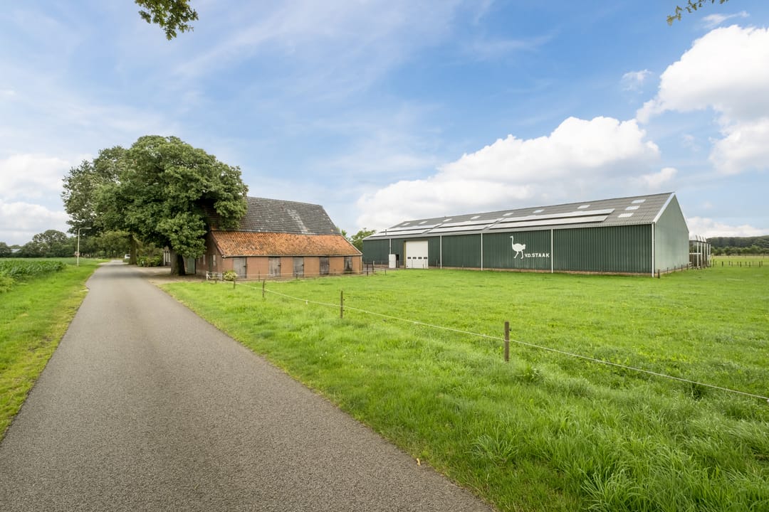 Former Ostrich Farm with Extensive Possibilities on 1.5 Hectares — 56