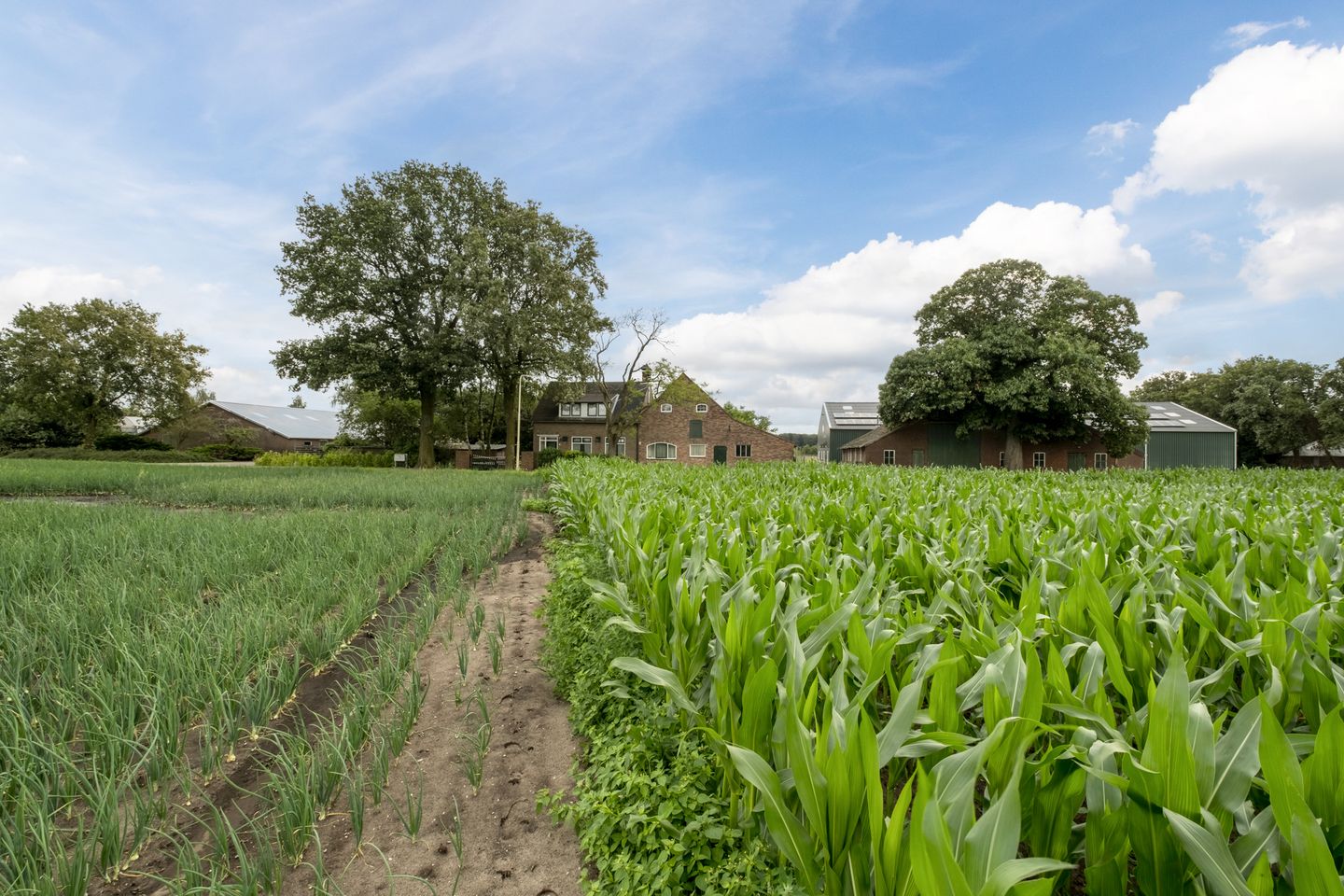 Former Ostrich Farm with Extensive Possibilities on 1.5 Hectares — 61