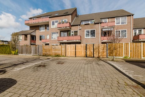 Elzenbroek thumbnail