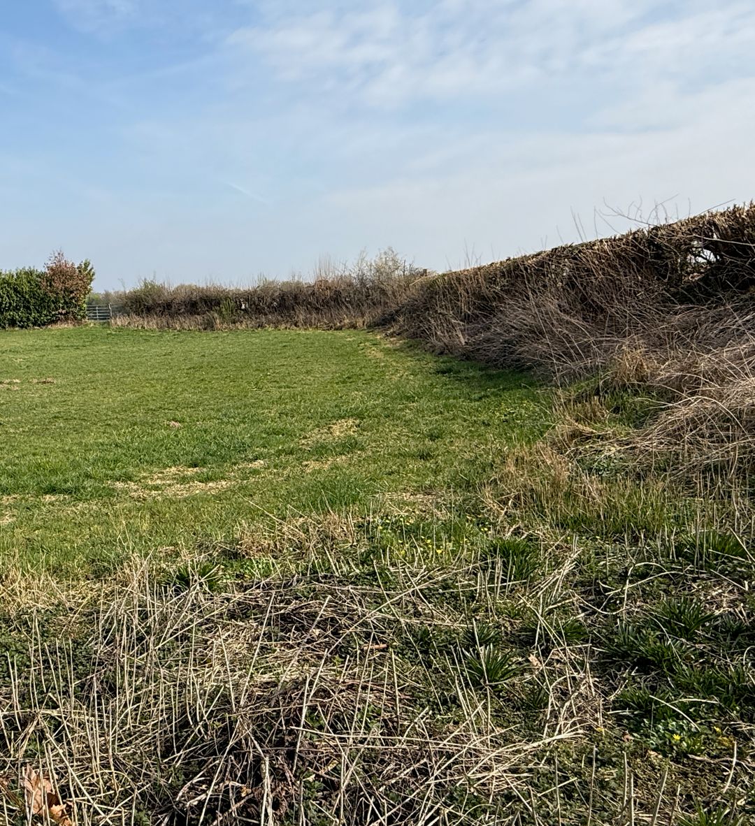 Foto 11 van Rotscherweg 38