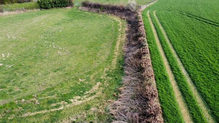 Photo 2 of Rotscherweg 38