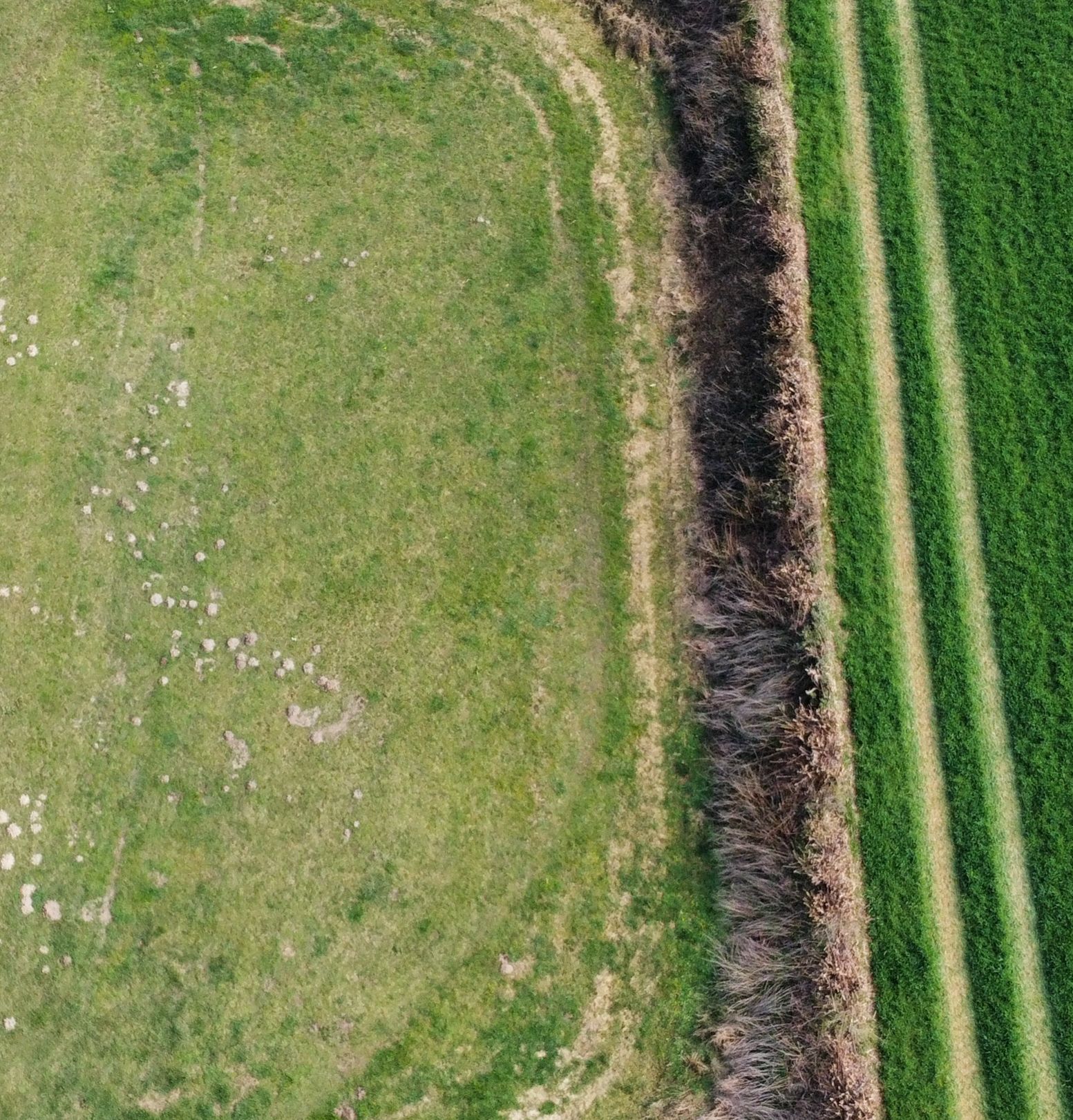 Foto 3 van Rotscherweg 38