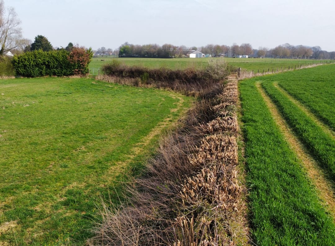 Foto 8 van Rotscherweg 38