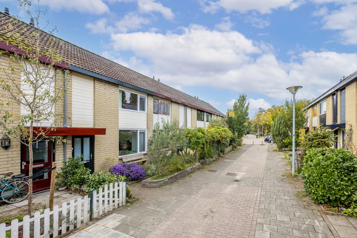 Foto 4 van Tholen 59