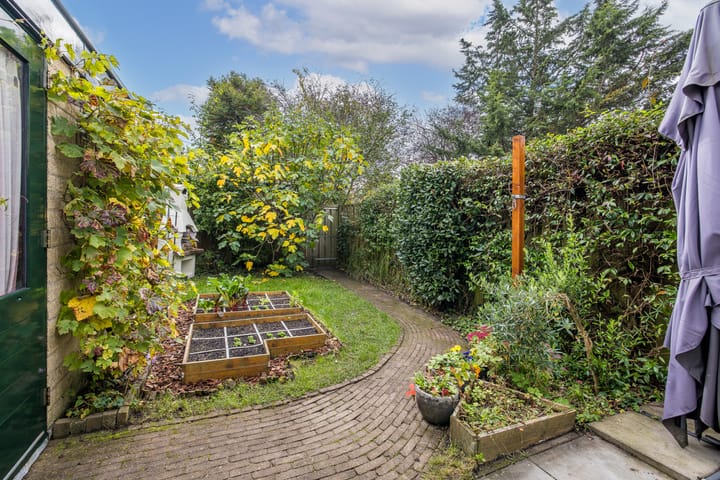 Foto 3 van Tholen 59