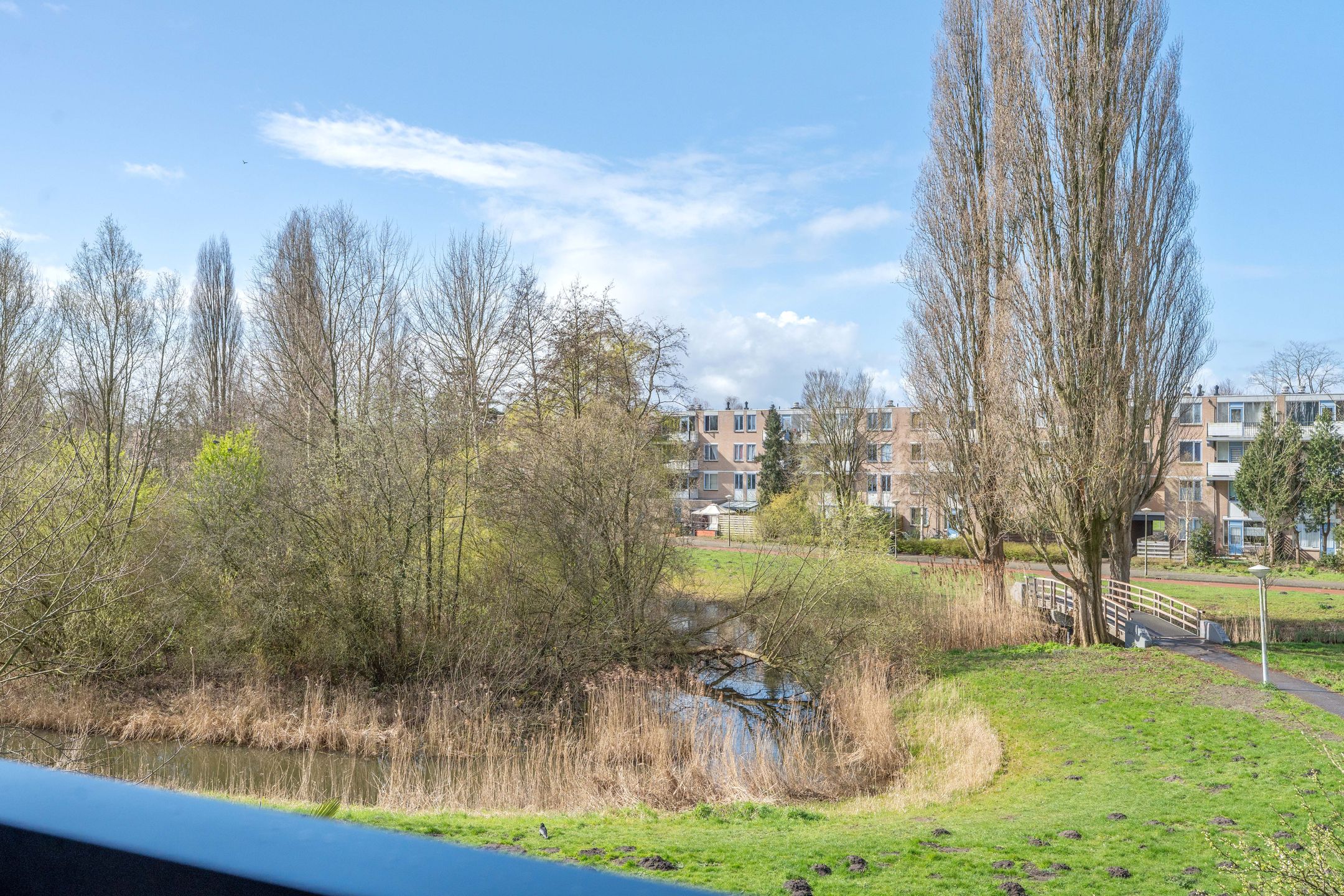 Foto 6 van Werkhovenstraat 14