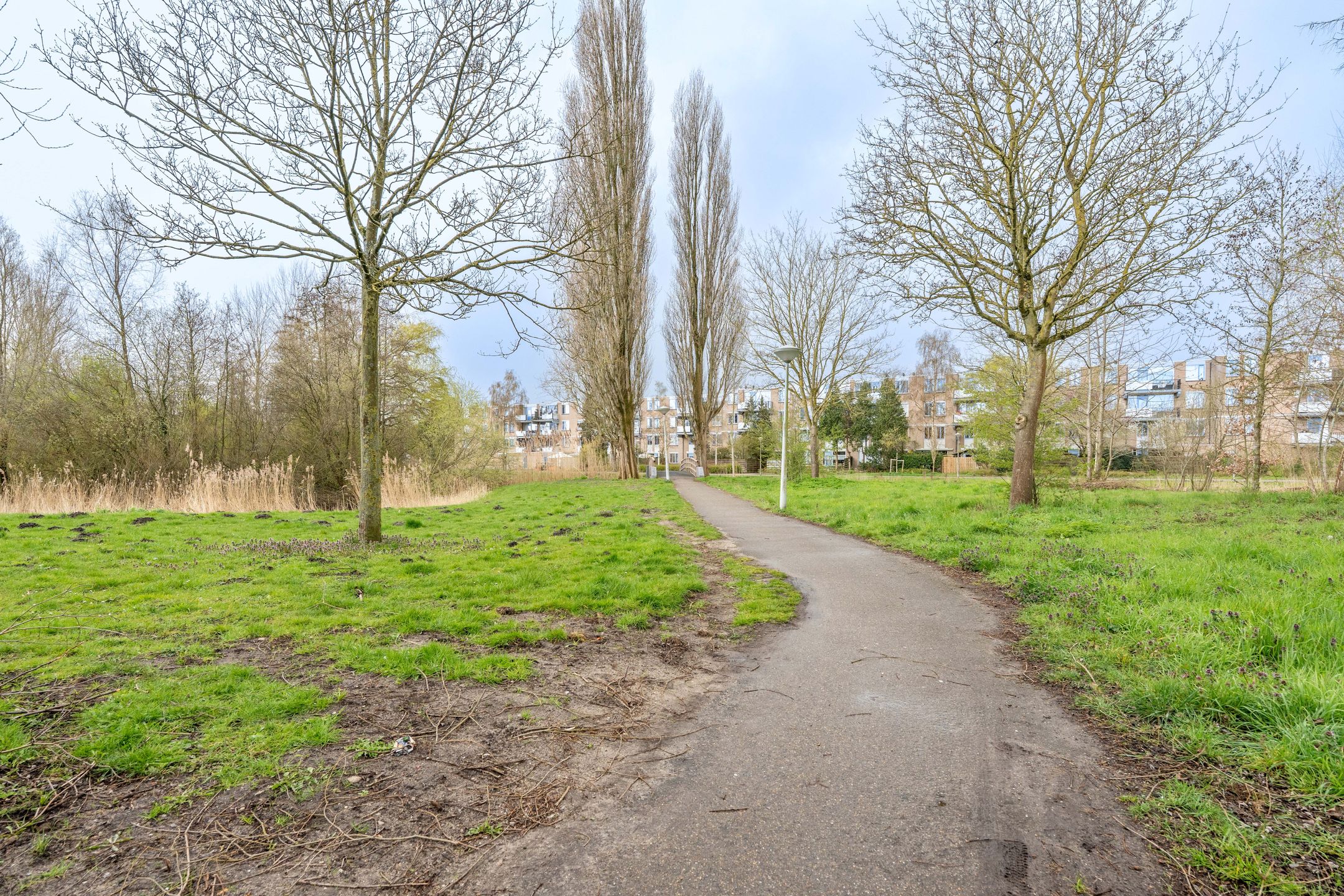 Foto 30 van Werkhovenstraat 14