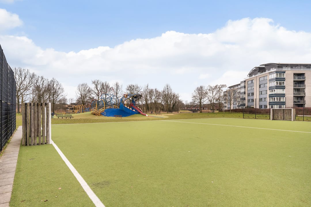 Foto 38 van Ringslang 35