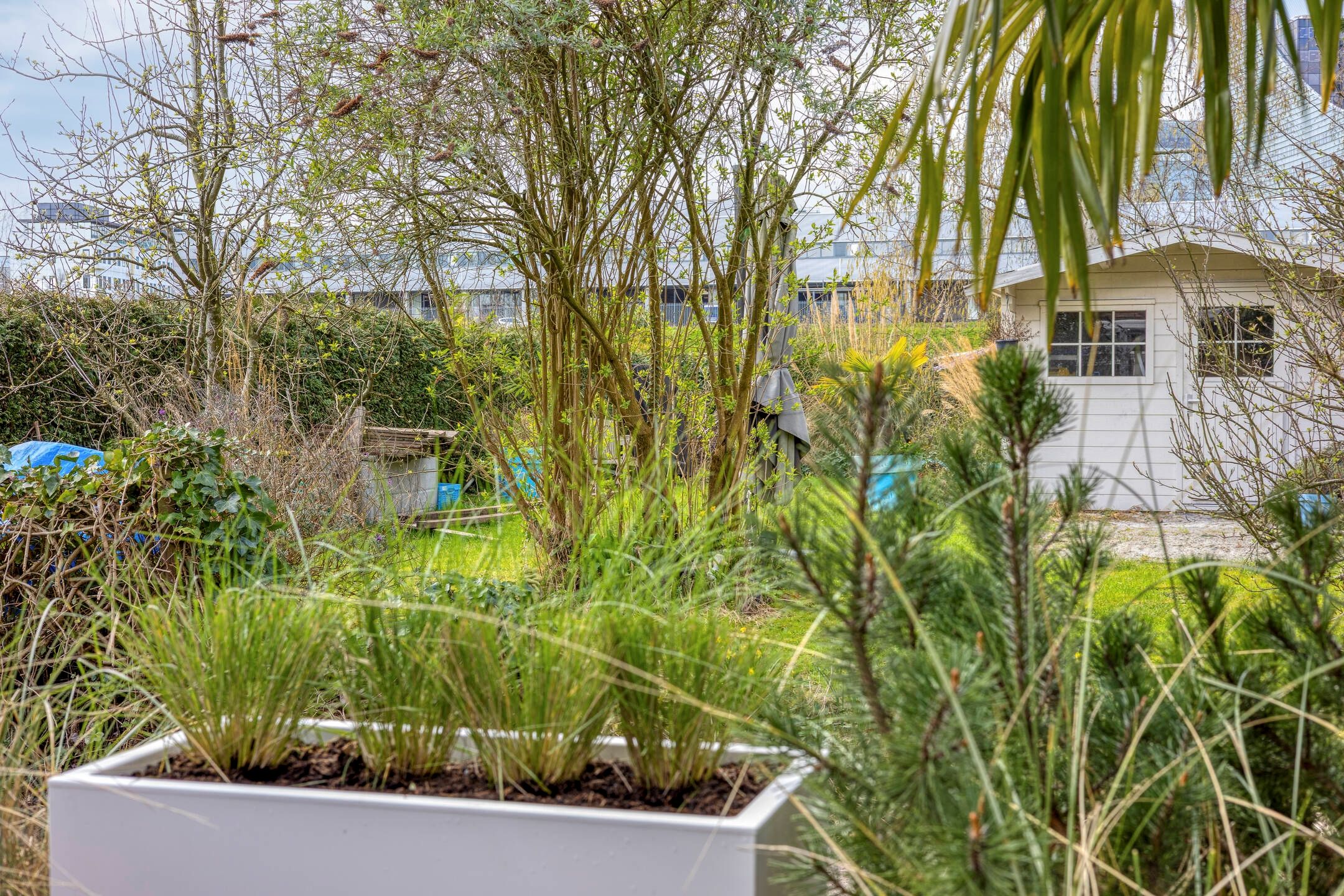 Foto 33 van IJsselmondselaan 195-B