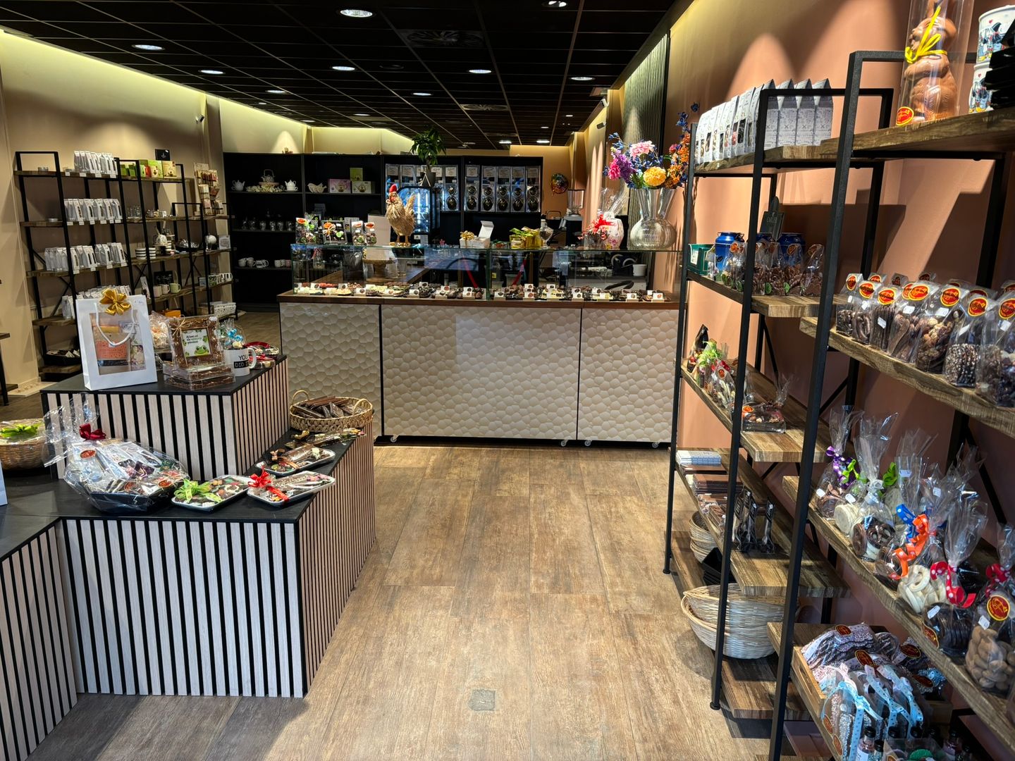 View photo 5 of Grote Noord 23