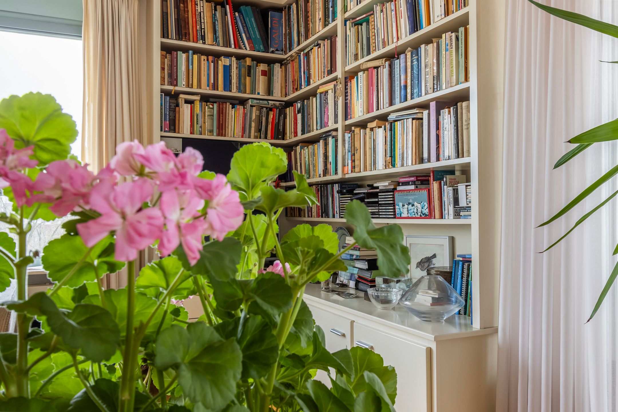 Foto 21 van Koningshaven 48