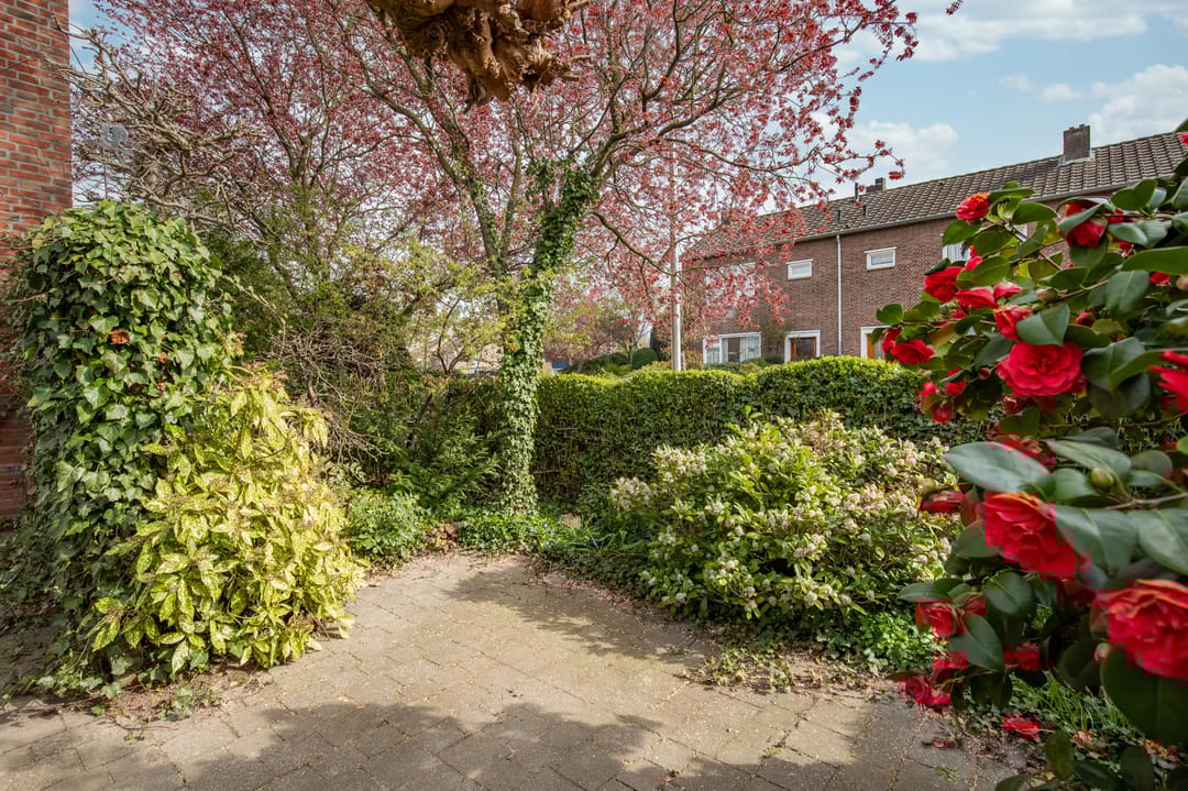 Photo 17 of Grasbroekerweg 55