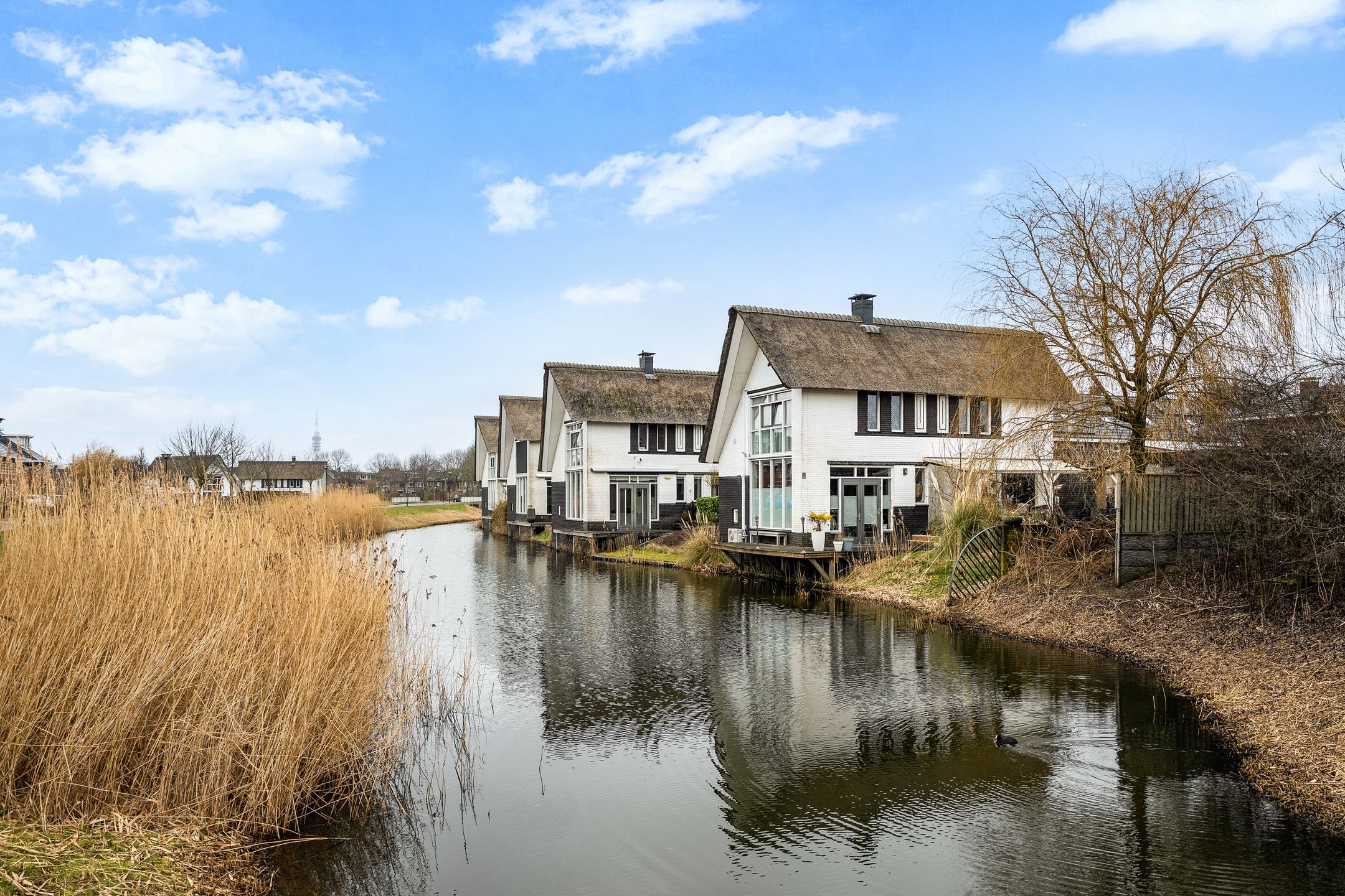 Foto 30 van Galjoen 11 58