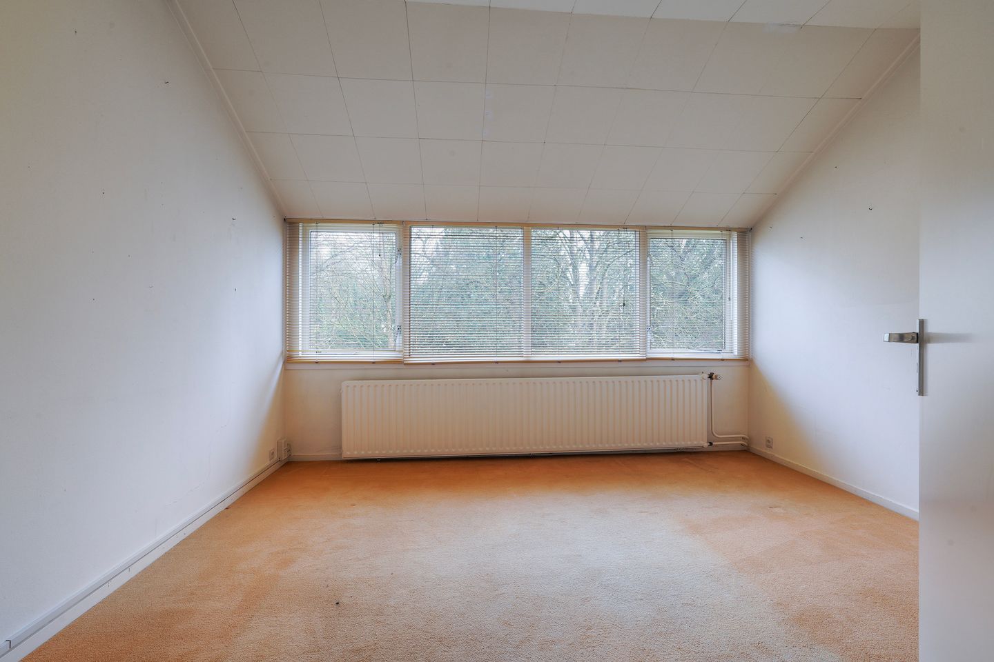 Foto 55 van Halderheiweg 3