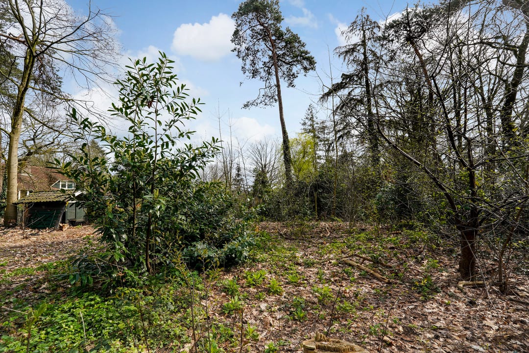 Photo 11 of Halderheiweg