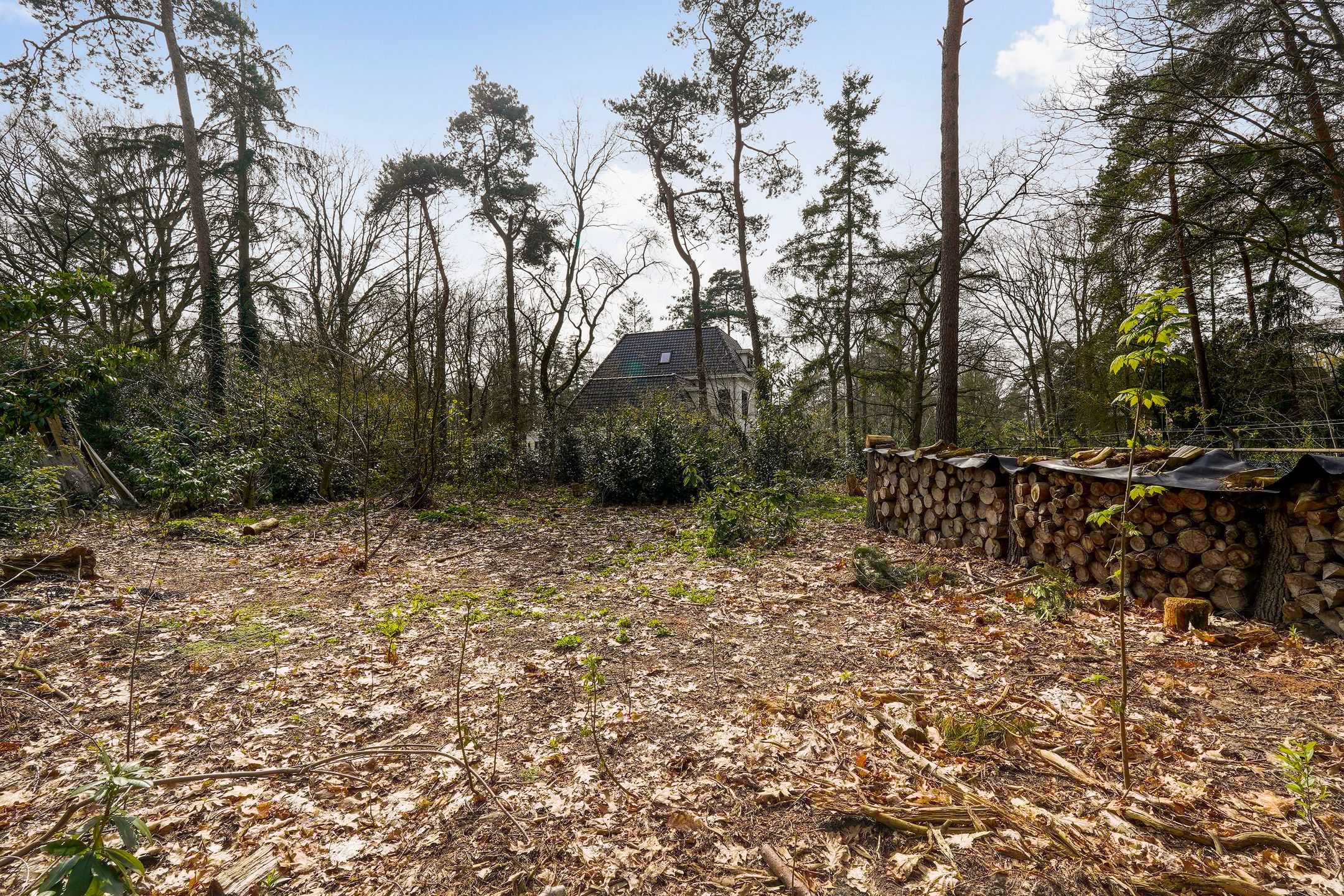 Photo 12 of Halderheiweg