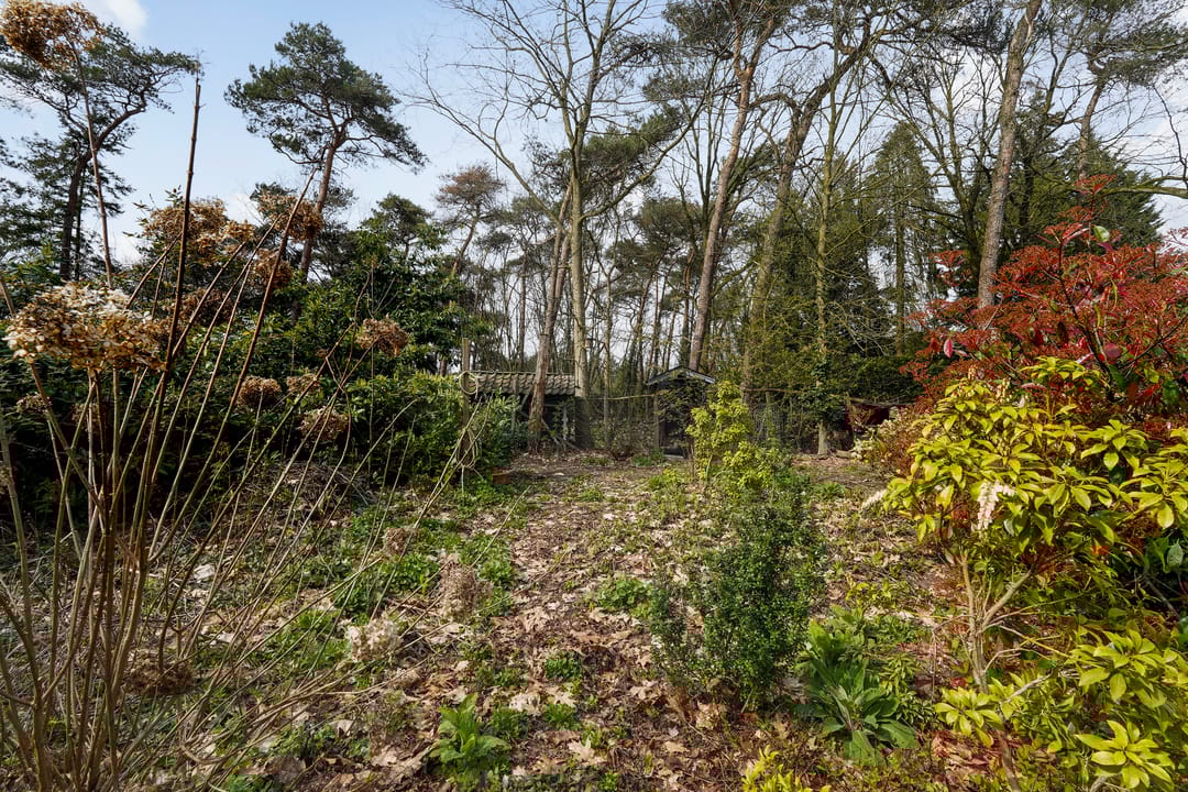 Photo 8 of Halderheiweg