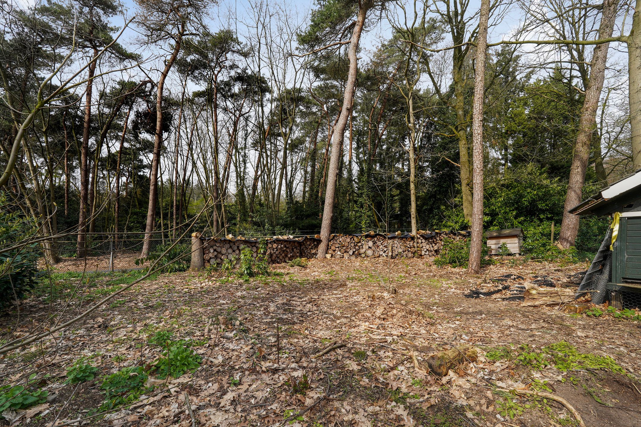 Photo 9 of Halderheiweg