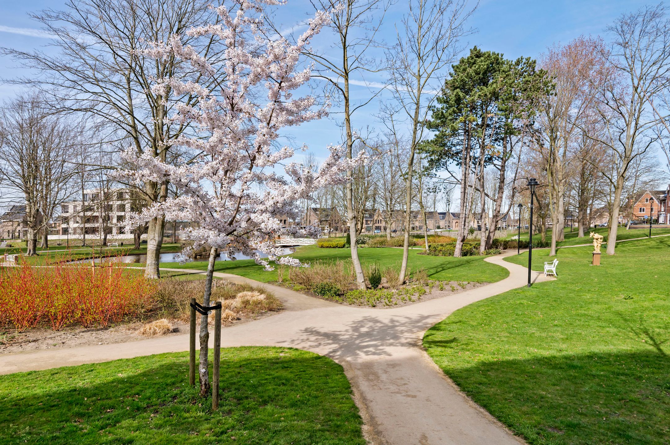 Foto 27 van Sint Bavolaan 22