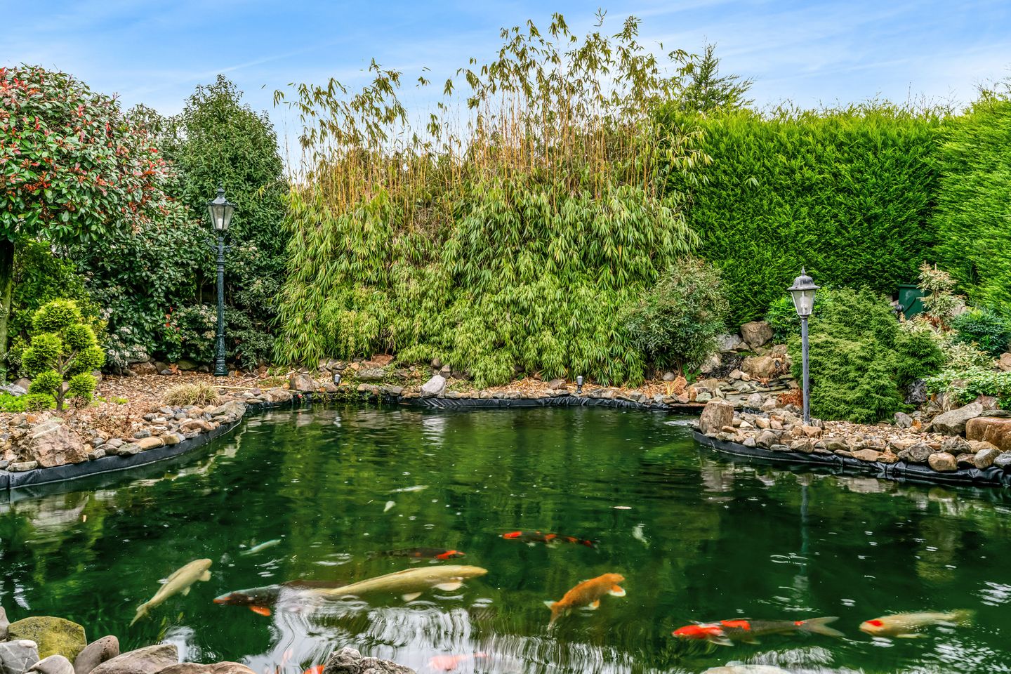 Foto 50 van Laurastraat 89