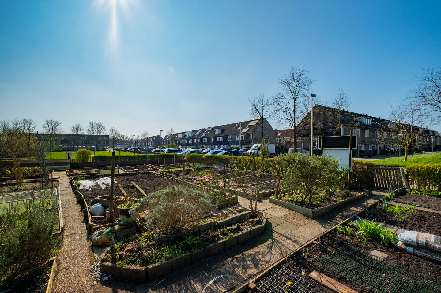 Foto 20 van Lambert Rimastraat 58