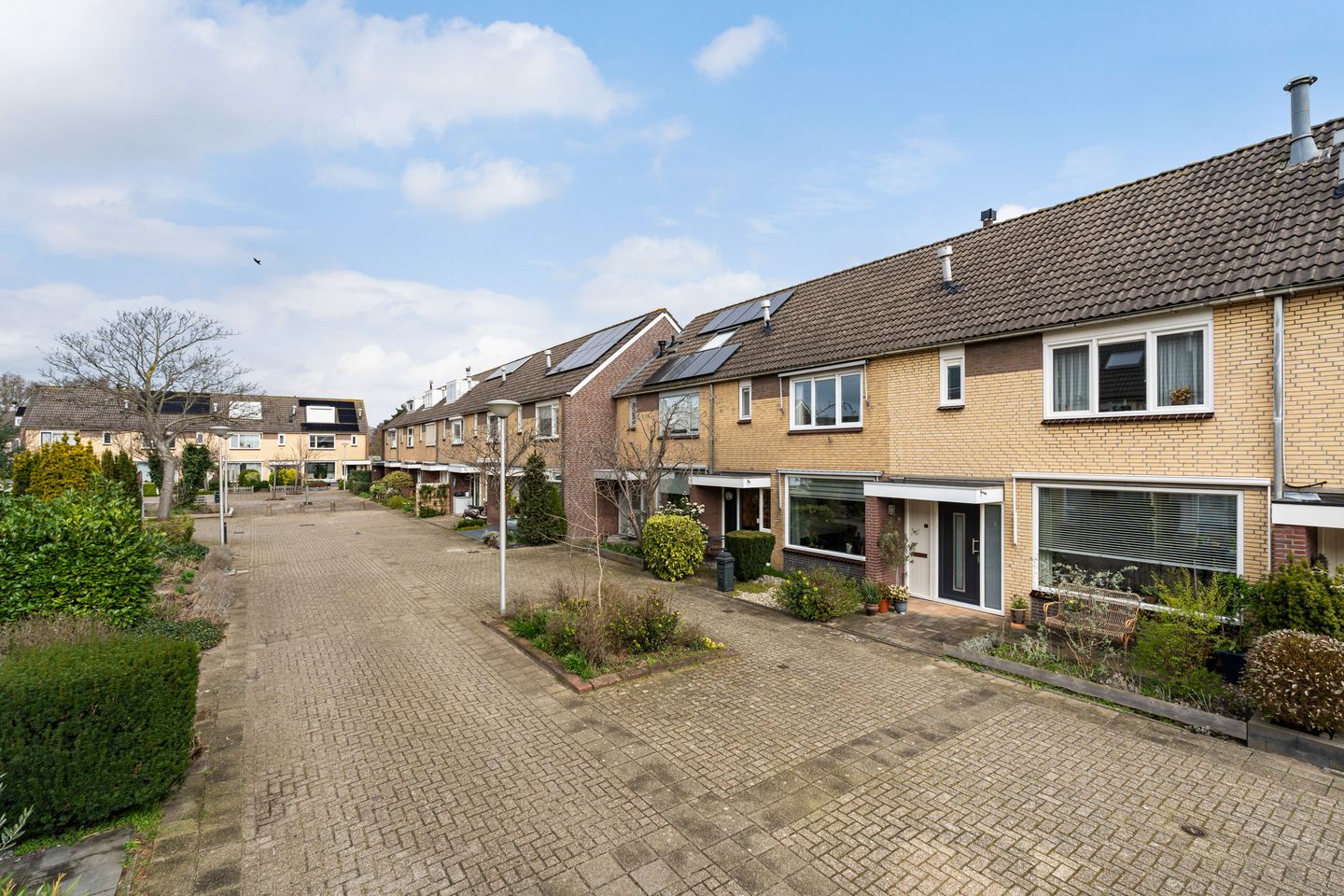 Foto 5 van De Meibloem 45