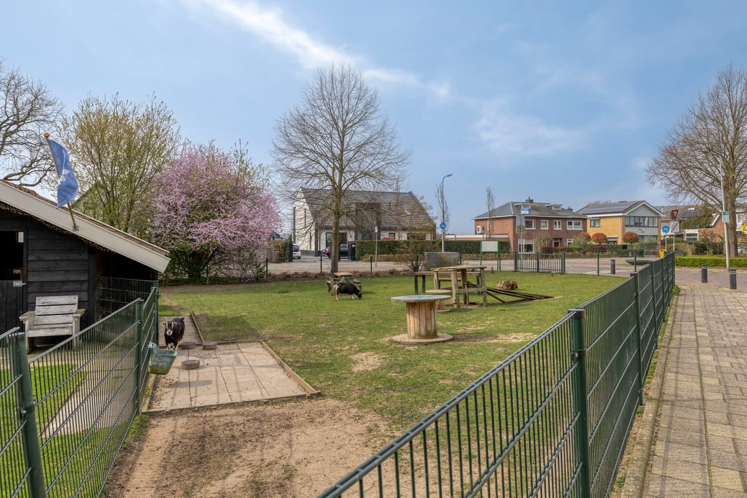 Foto 31 van Pruimendijk 2-C