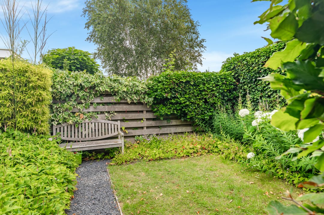 Foto 61 van Absalon 8