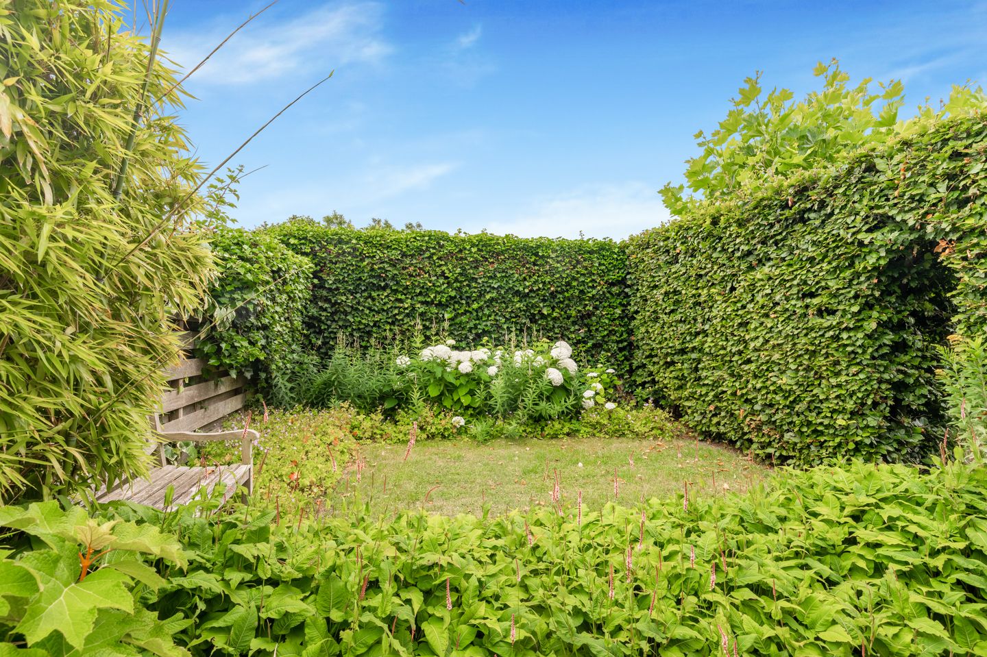 Foto 59 van Absalon 8