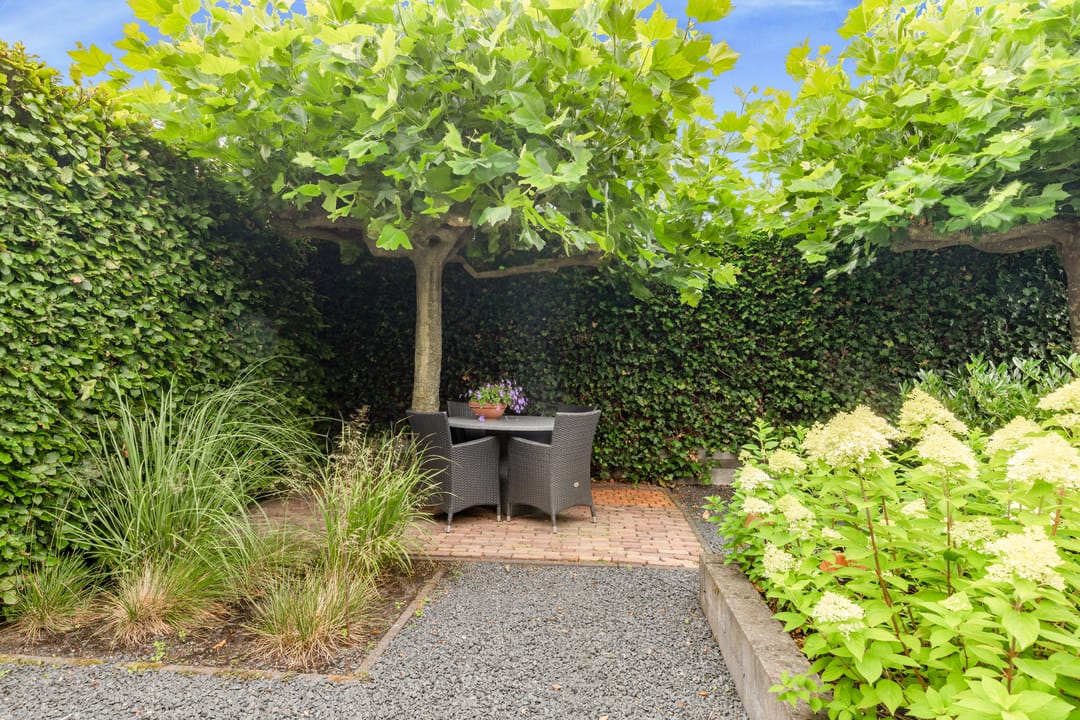 Foto 58 van Absalon 8