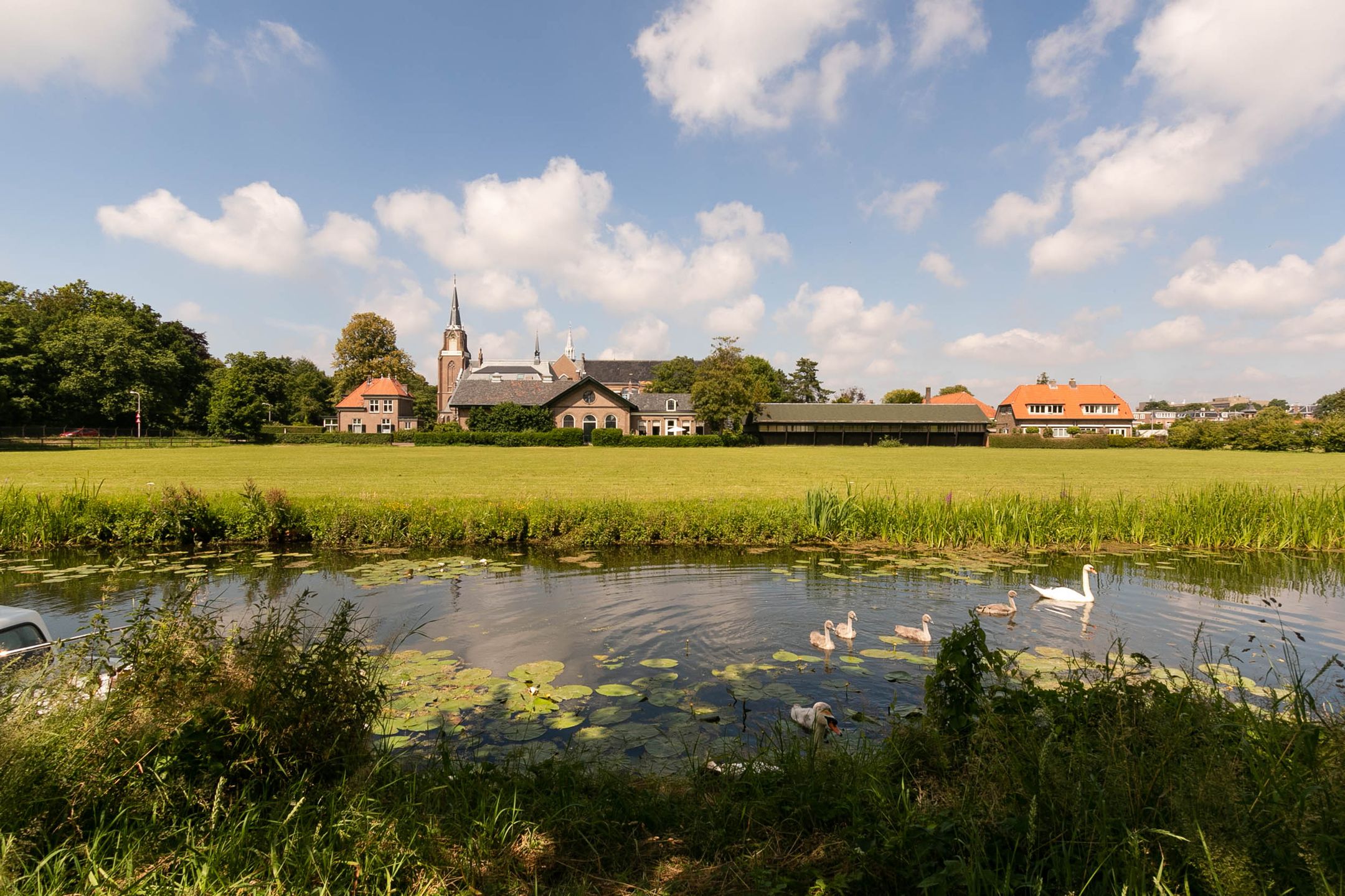 Foto 51 van Dickmansstraat 35