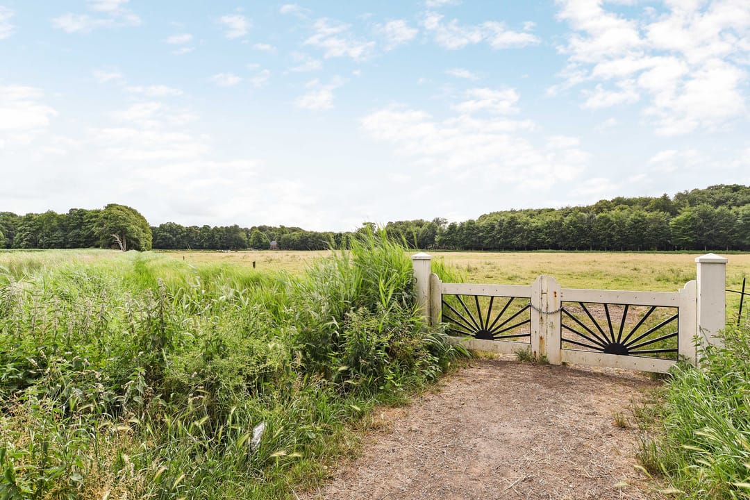 Foto 46 van Dickmansstraat 35