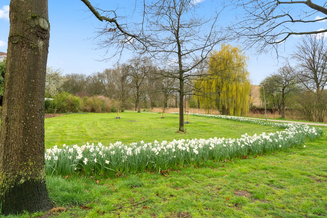 Foto 41 van Rigolettostraat 25