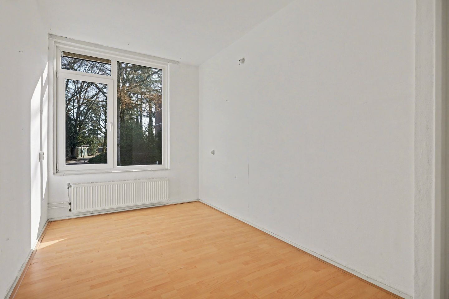 Foto 14 van Park de Kotten 181