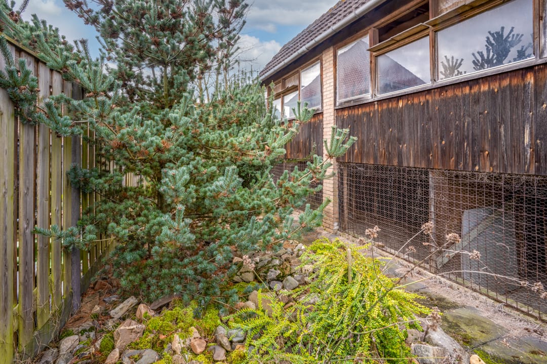 Foto 37 van Klein-Haasdal 79