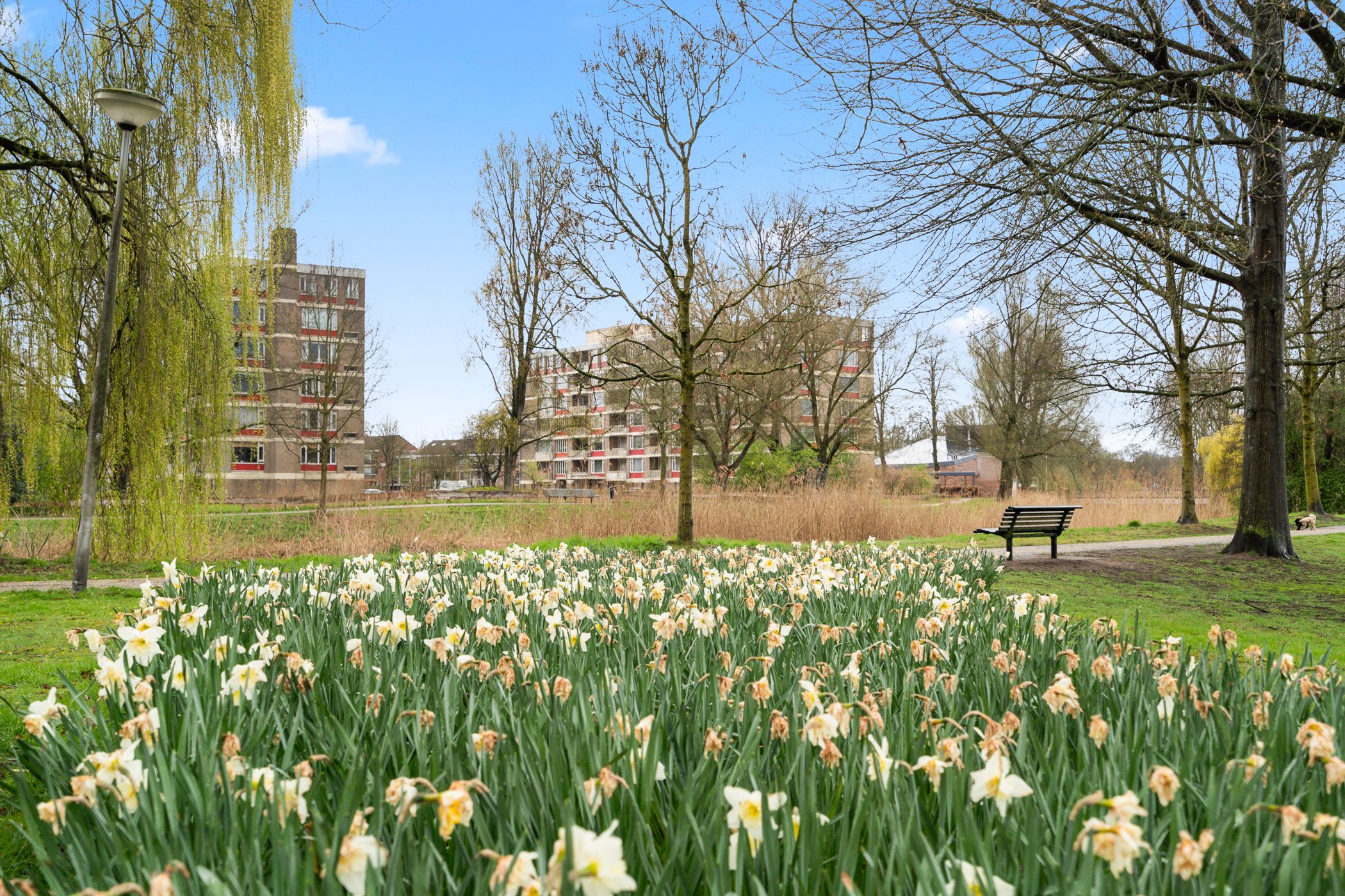 Foto 42 van Rigolettostraat 25