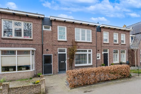 Zonnebloemstraat thumbnail