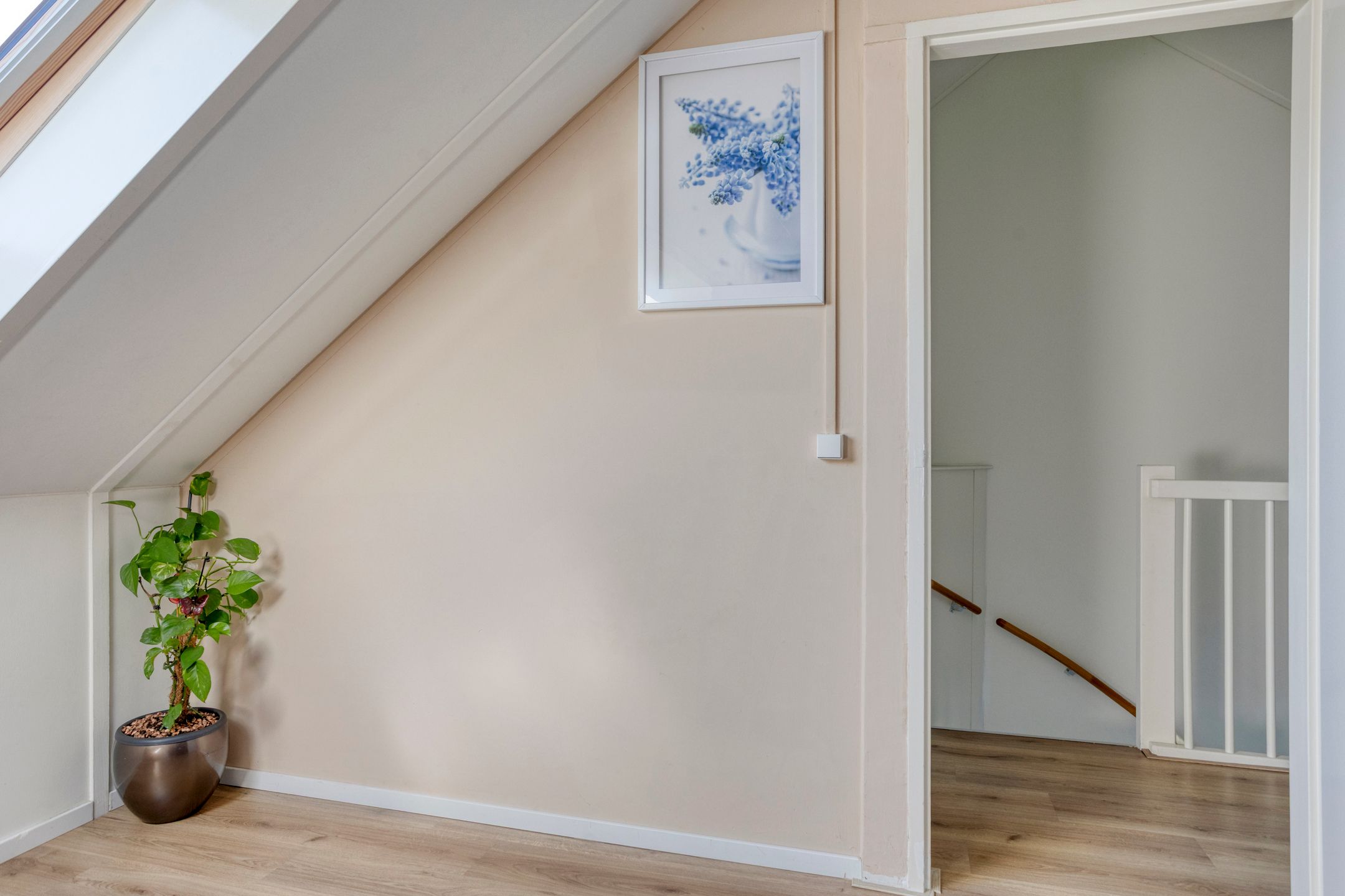 Foto 30 van Eli Heimanslaan 6