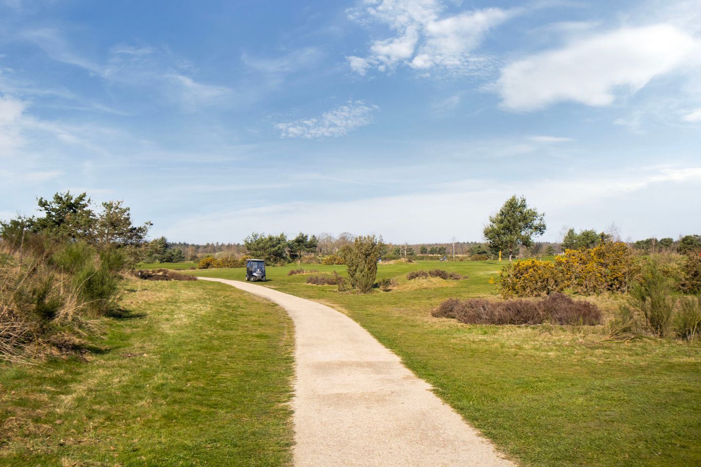 Photo 44 of Hackettweg 1