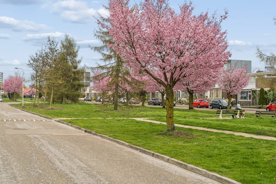 Foto 53 van Newtonstraat 89