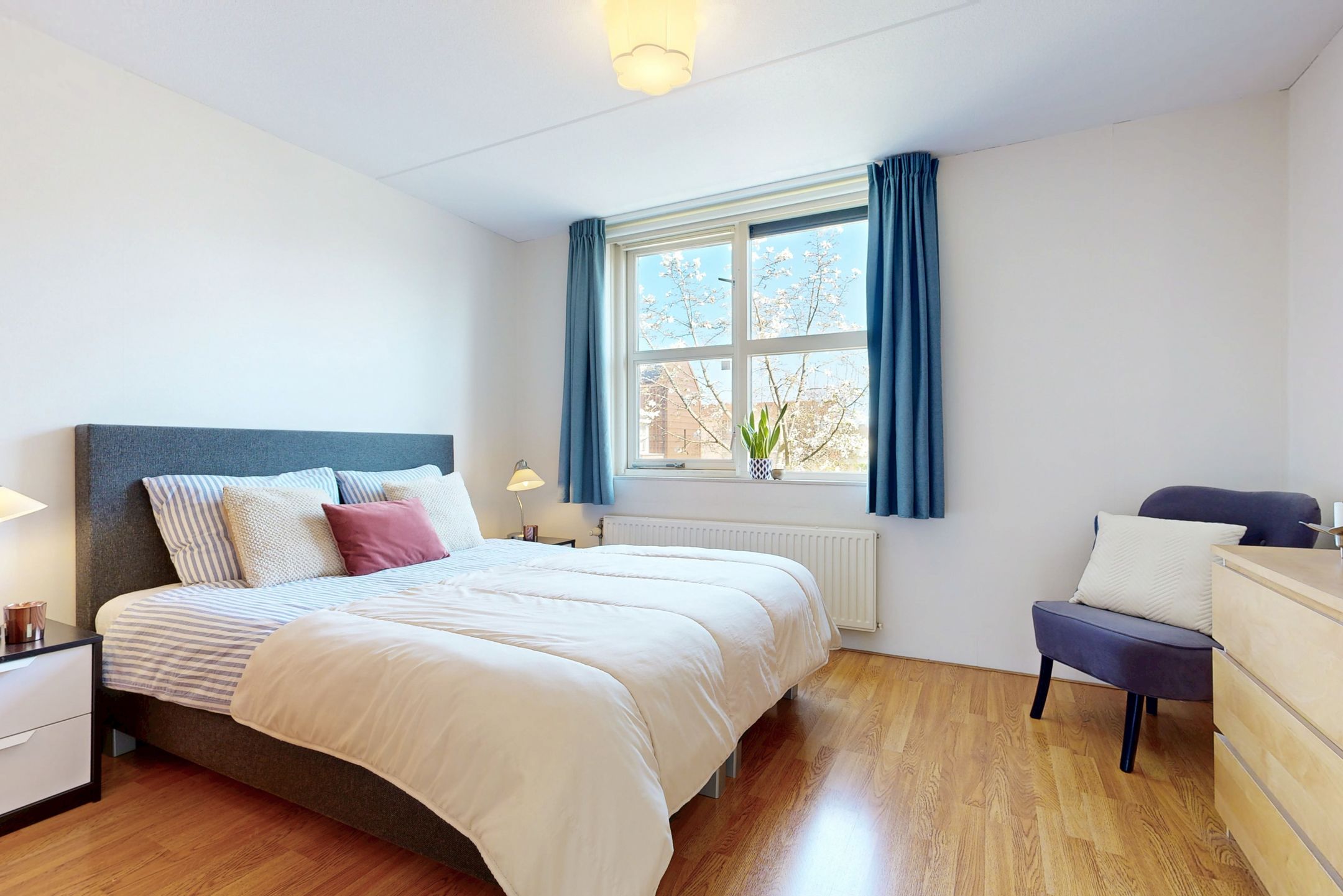 Foto 15 van Pijlstaartvlinder 32