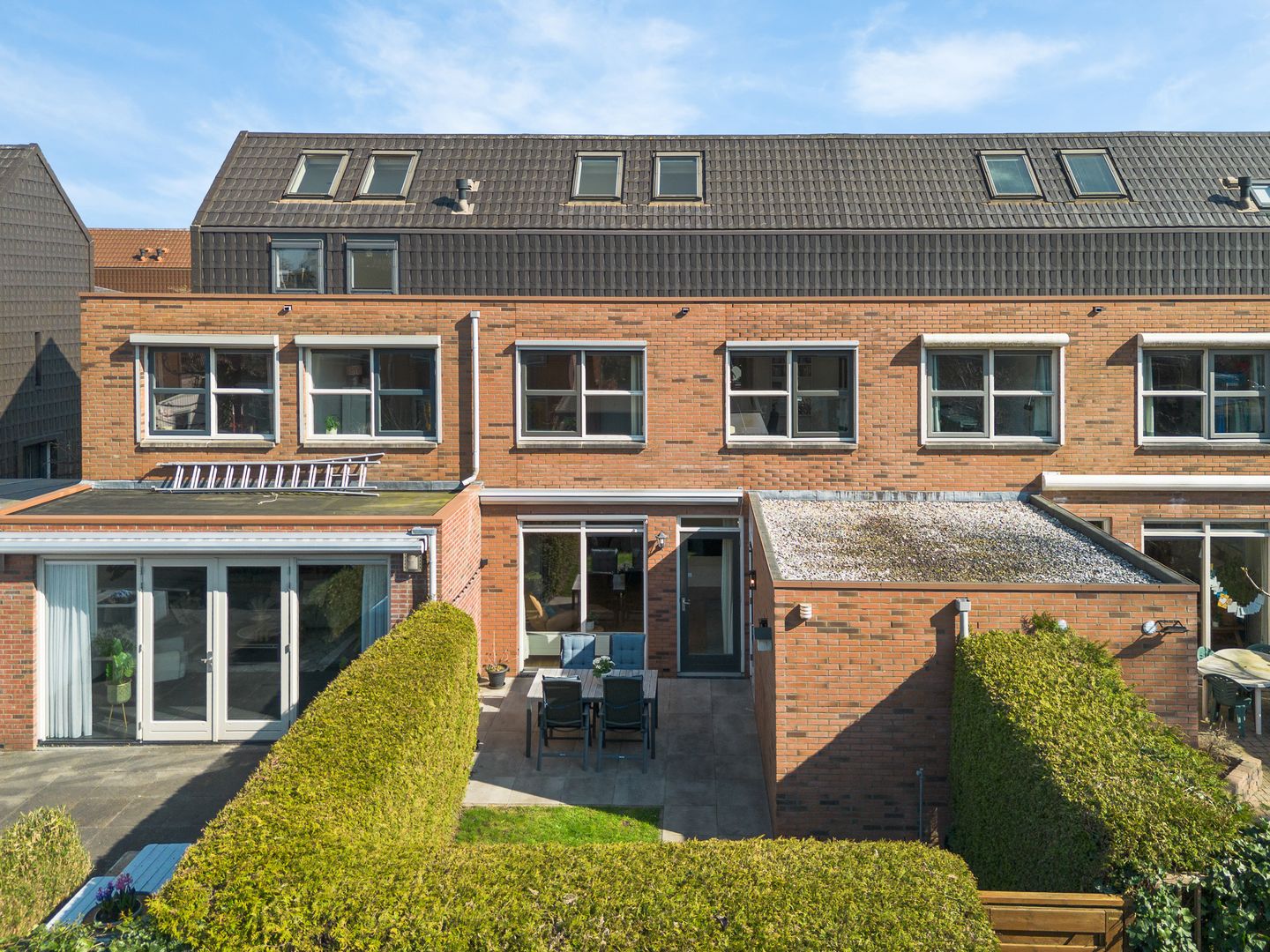 Foto 25 van Pijlstaartvlinder 32