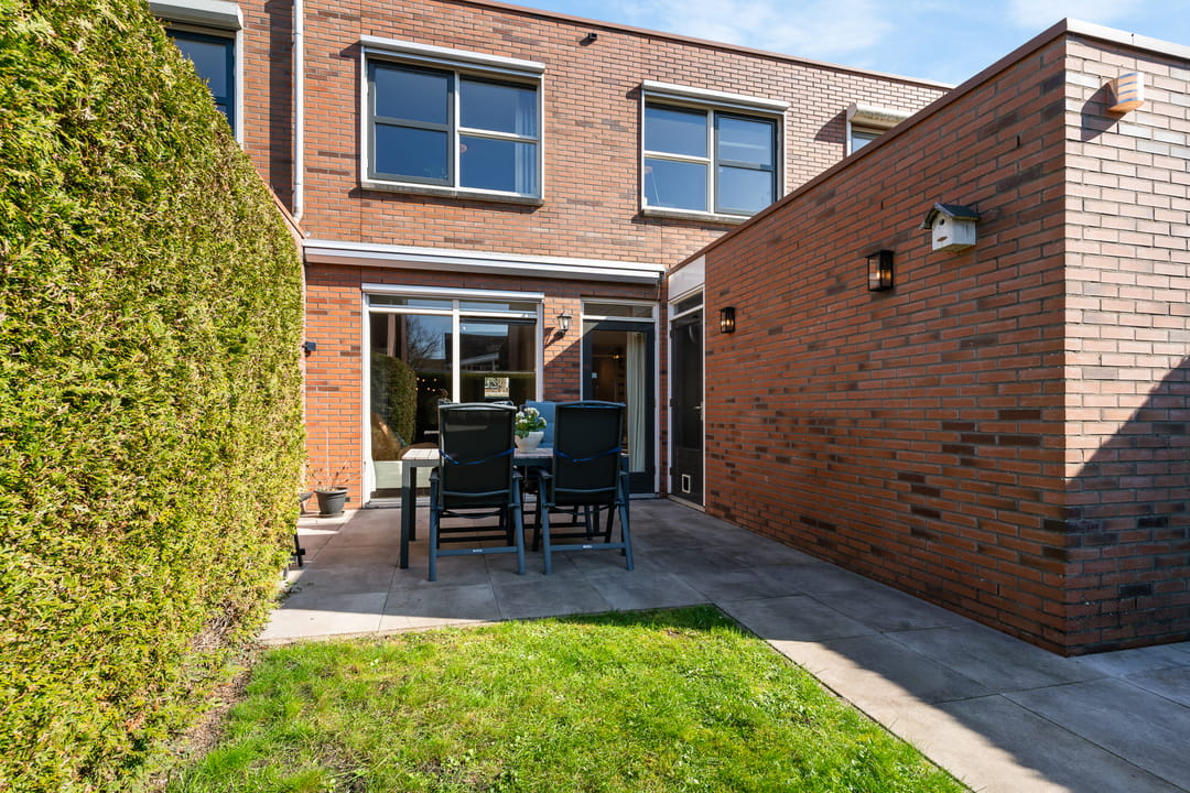 Foto 26 van Pijlstaartvlinder 32