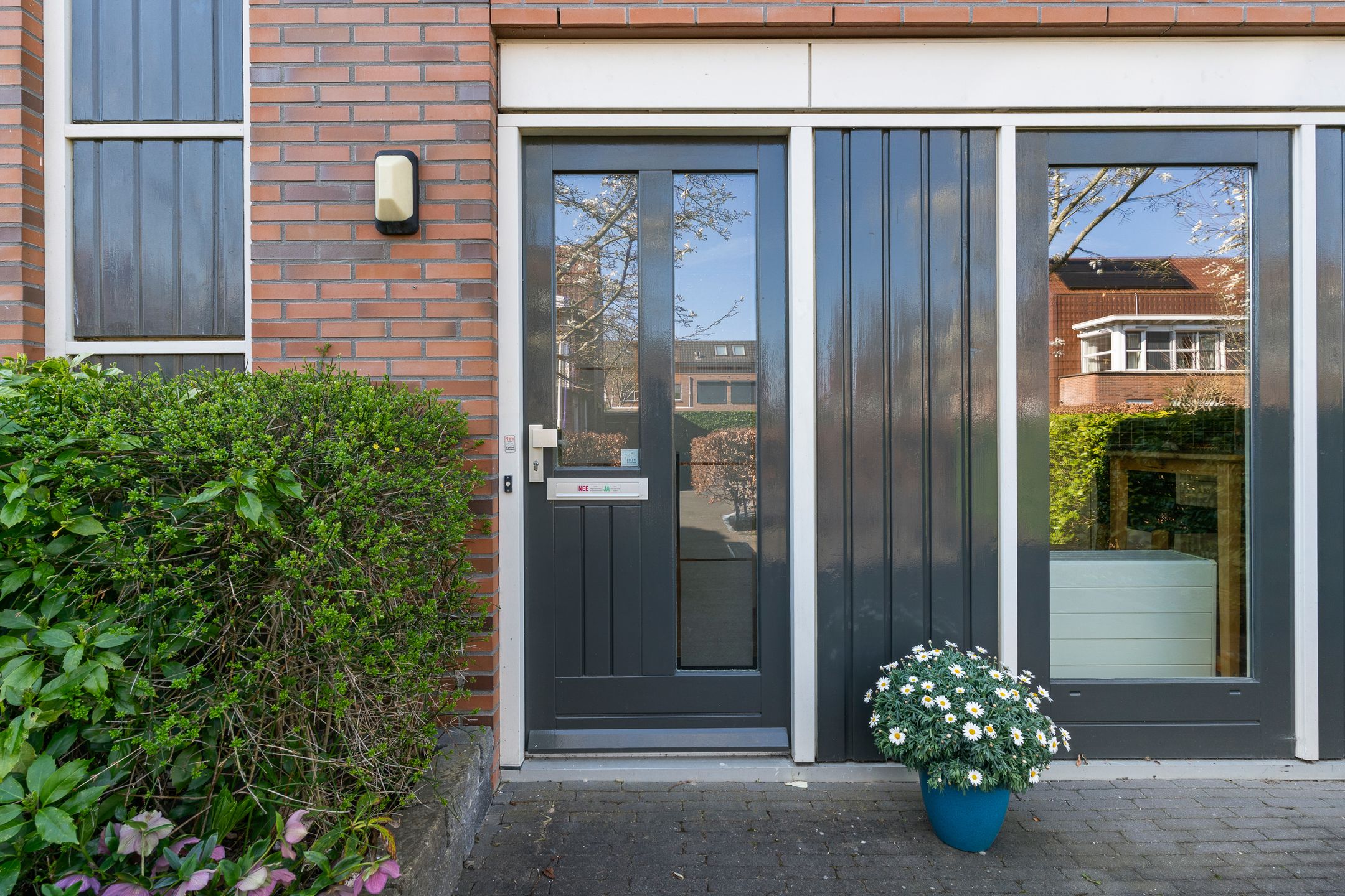 Foto 3 van Pijlstaartvlinder 32