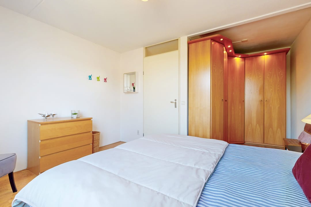 Foto 17 van Pijlstaartvlinder 32