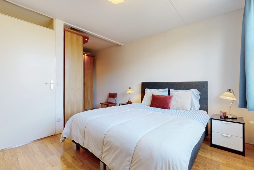 Foto 16 van Pijlstaartvlinder 32