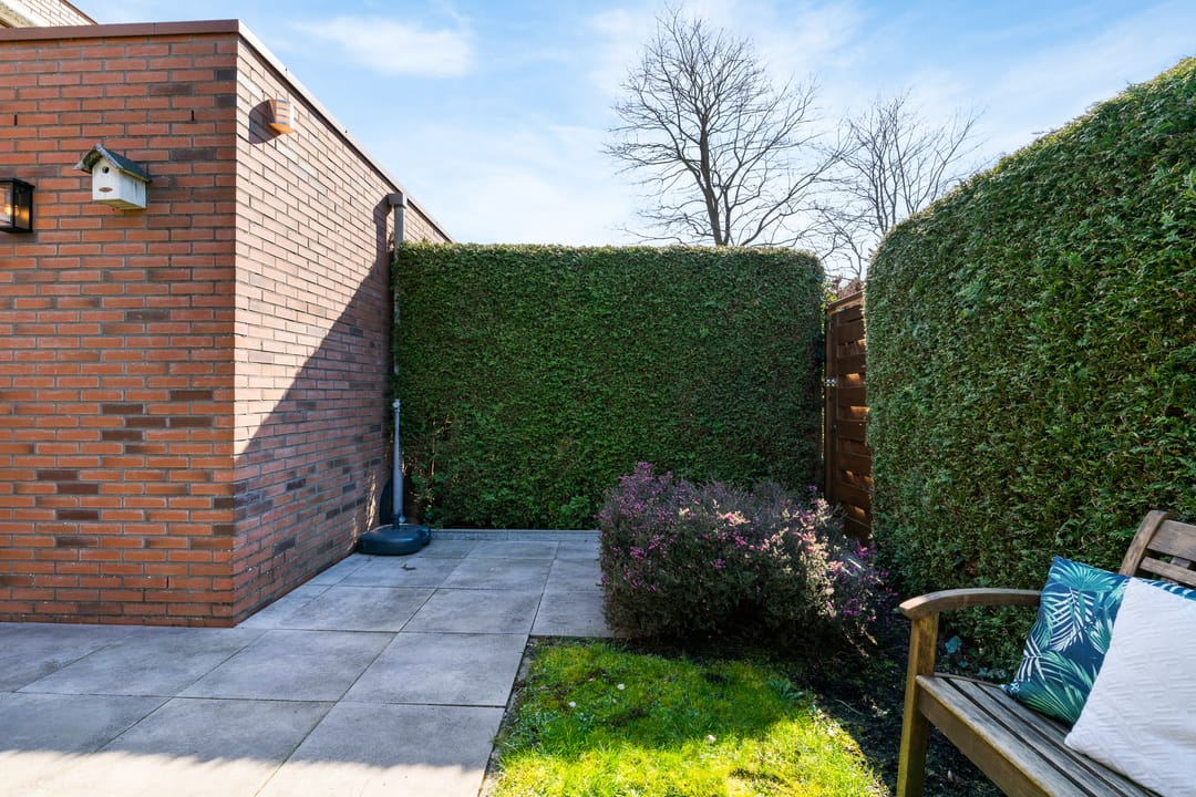 Foto 28 van Pijlstaartvlinder 32