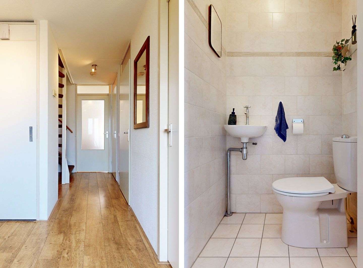 Foto 14 van Pijlstaartvlinder 32