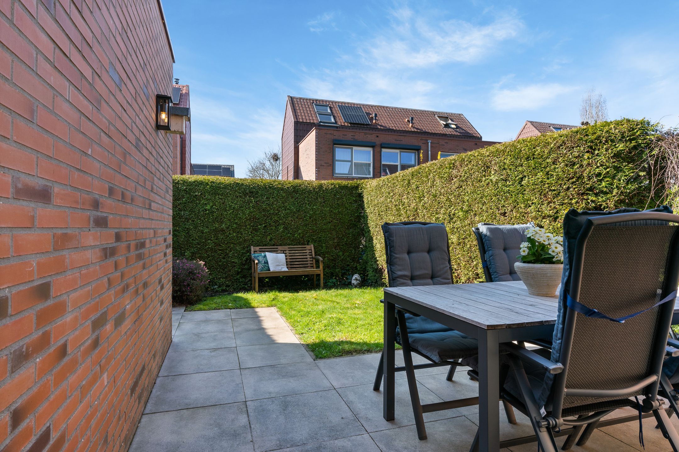 Foto 27 van Pijlstaartvlinder 32