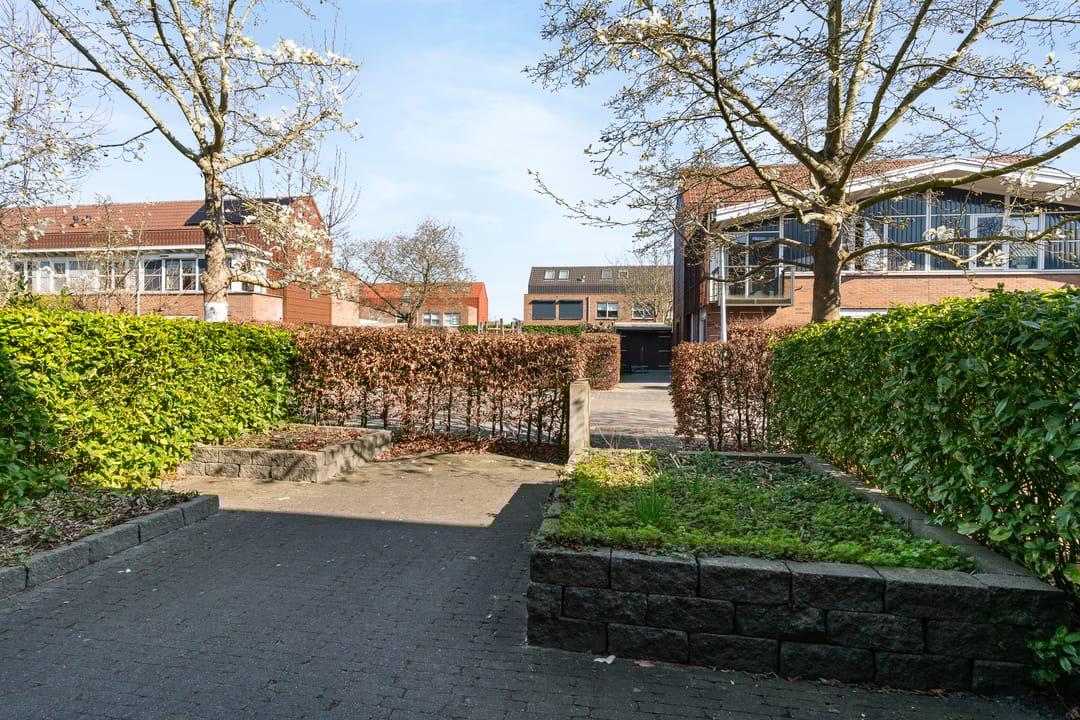 Foto 32 van Pijlstaartvlinder 32